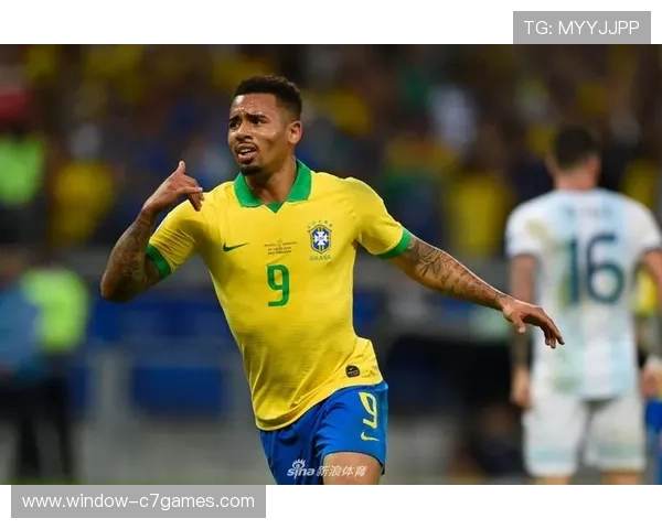 美洲杯历史回顾与未来展望：从荣耀到挑战的足球盛宴